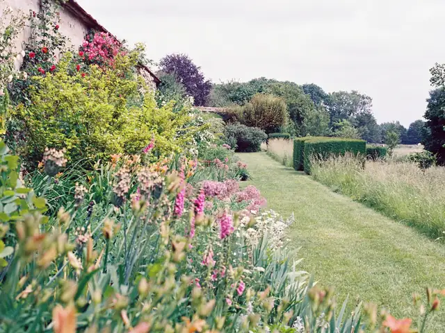 Massifs de vivaces en fleurs