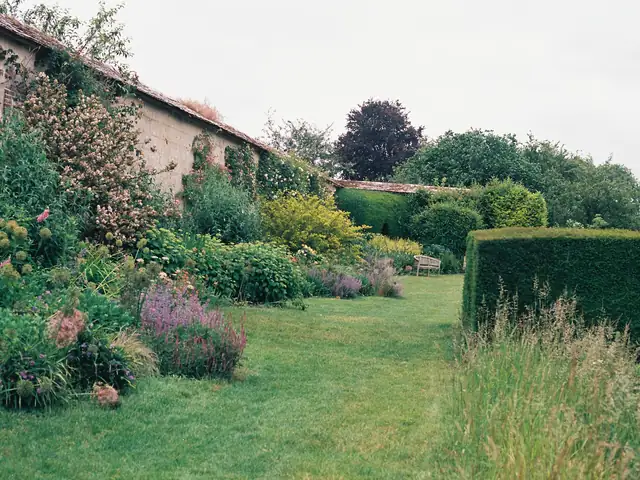 Jardin fleuri et haies