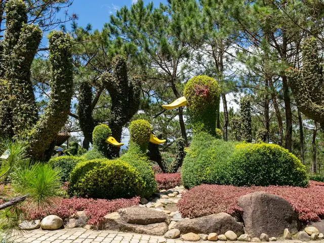 Topiaires sculptées