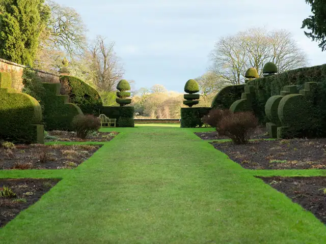 Grande allée engazonnée et topiaires