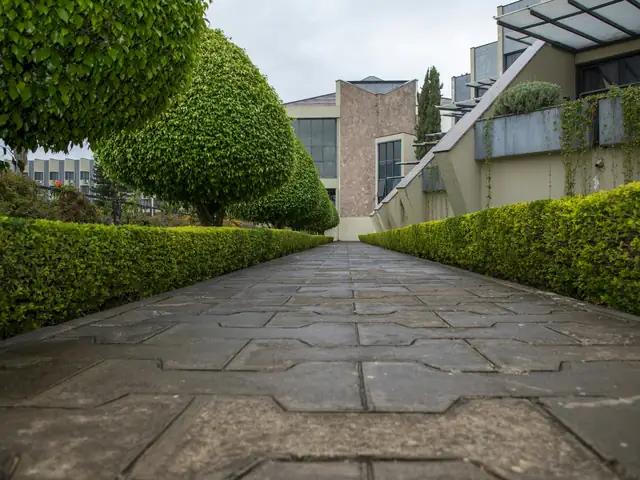 Allée en pierre bordée de haies taillées